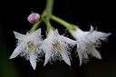 BUITEN BEELD Foto: 314465