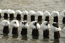 BUITEN BEELD Foto: 314482