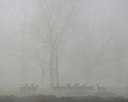 BUITEN BEELD Foto: 314508