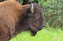BUITEN BEELD Foto: 314549