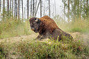 BUITEN BEELD Foto: 314550
