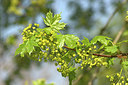 BUITEN BEELD Foto: 314610