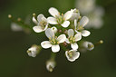 BUITEN BEELD Foto: 314613