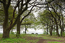 BUITEN BEELD Foto: 314629