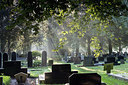 BUITEN BEELD Foto: 314645