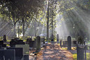 BUITEN BEELD Foto: 314646