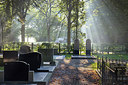 BUITEN BEELD Foto: 314647