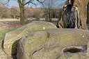 BUITEN BEELD Foto: 314652