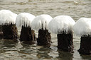 BUITEN BEELD Foto: 314683
