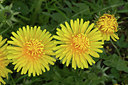 BUITEN BEELD Foto: 314756