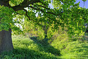 BUITEN BEELD Foto: 314762
