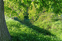 BUITEN BEELD Foto: 314763