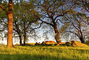 BUITEN BEELD Foto: 314775