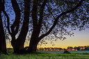 BUITEN BEELD Foto: 314777
