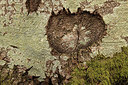 BUITEN BEELD Foto: 314839