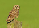 BUITEN BEELD Foto: 314849