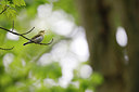 BUITEN BEELD Foto: 314873