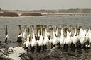 BUITEN BEELD Foto: 314977