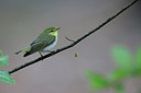 BUITEN BEELD Foto: 314990