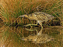 BUITEN BEELD Foto: 315013