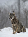 BUITEN BEELD Foto: 315073