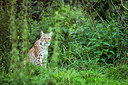 BUITEN BEELD Foto: 315111