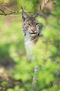 BUITEN BEELD Foto: 315118
