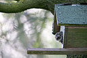 BUITEN BEELD Foto: 315150