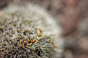 BUITEN BEELD Foto: 315190