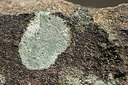 BUITEN BEELD Foto: 315206