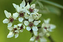 BUITEN BEELD Foto: 315220