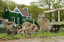 BUITEN BEELD Foto: 315235