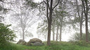 BUITEN BEELD Foto: 315277