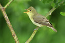BUITEN BEELD Foto: 315293