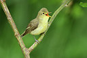 BUITEN BEELD Foto: 315295