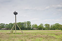 BUITEN BEELD Foto: 315331