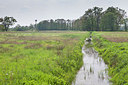 BUITEN BEELD Foto: 315336