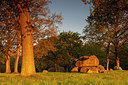 BUITEN BEELD Foto: 315350