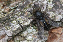 BUITEN BEELD Foto: 315353