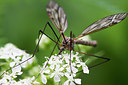 BUITEN BEELD Foto: 315355