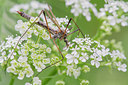 BUITEN BEELD Foto: 315357