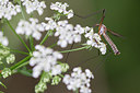 BUITEN BEELD Foto: 315360