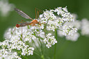 BUITEN BEELD Foto: 315369
