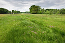 BUITEN BEELD Foto: 315372