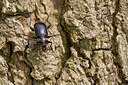 BUITEN BEELD Foto: 315418