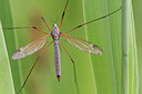 BUITEN BEELD Foto: 315430