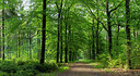 BUITEN BEELD Foto: 315444