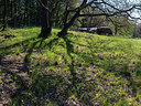 BUITEN BEELD Foto: 315449