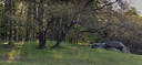BUITEN BEELD Foto: 315451