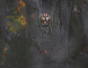 BUITEN BEELD Foto: 315457